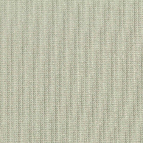 Viscose Nylon Stretch Ponte Knit Fabric, 380 gsm, 170 cm — Green