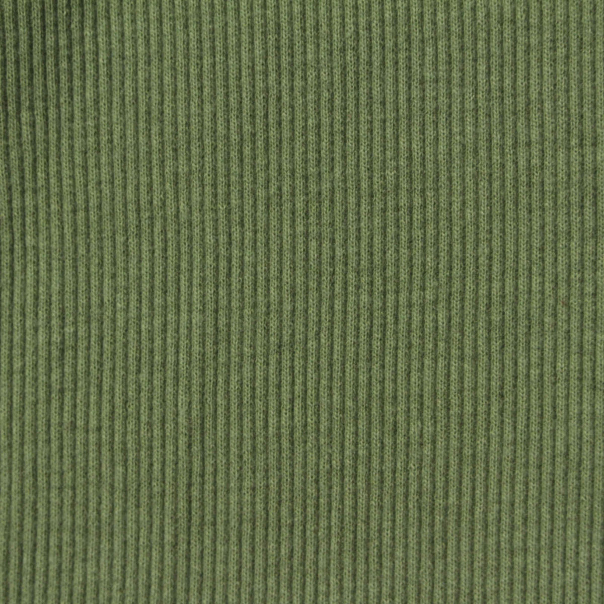 Cotton Polyester Stretch Rib Knit Fabric, 300 gsm — Green, ref EF-243933