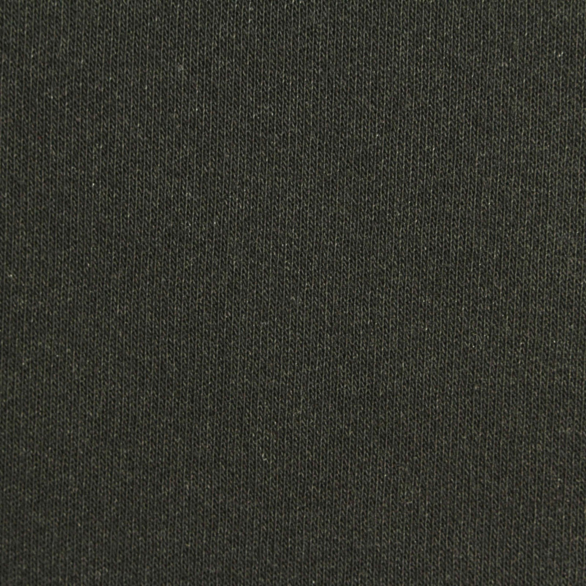Brushed 100% Polyester Jersey Knit Fabric, 230 gsm, 175 cm — Green