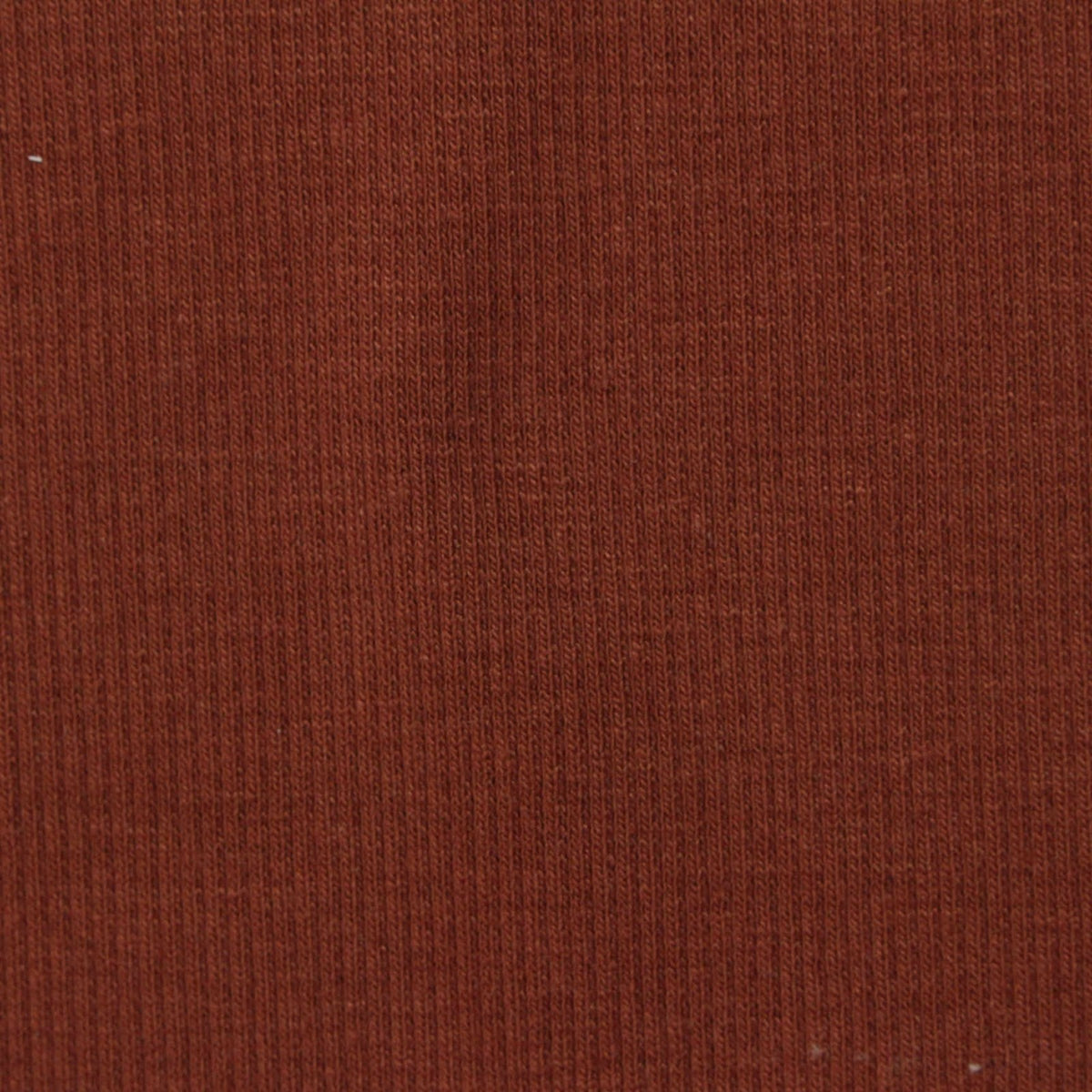 Cotton Polyester Stretch Rib Knit Fabric, 370 gsm, 110 cm — Brown