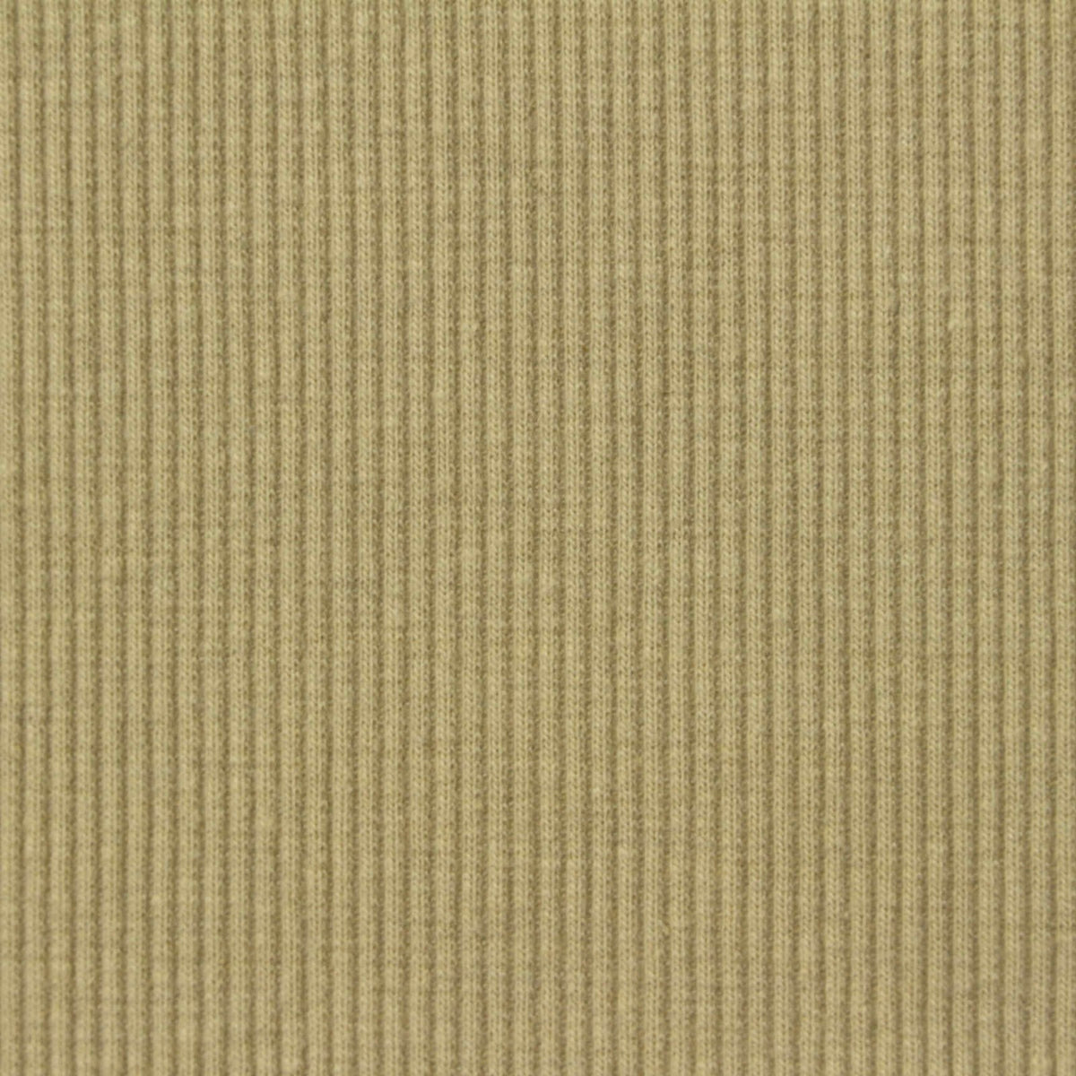 Cotton Polyester Stretch Rib Knit Fabric, 350 gsm, 115 cm — Khaki