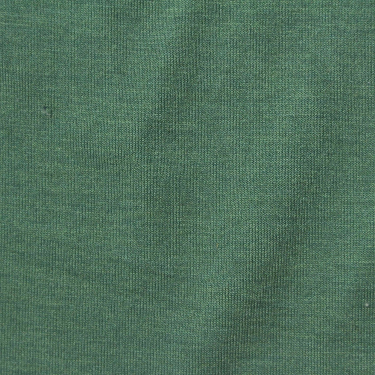 Polyester Viscose Stretch Jersey Knit Fabric, 150 gsm, 155 cm — Green