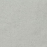 Brushed Cotton Polyester French Terry Fabric, 200 gsm, 170 cm — Grey