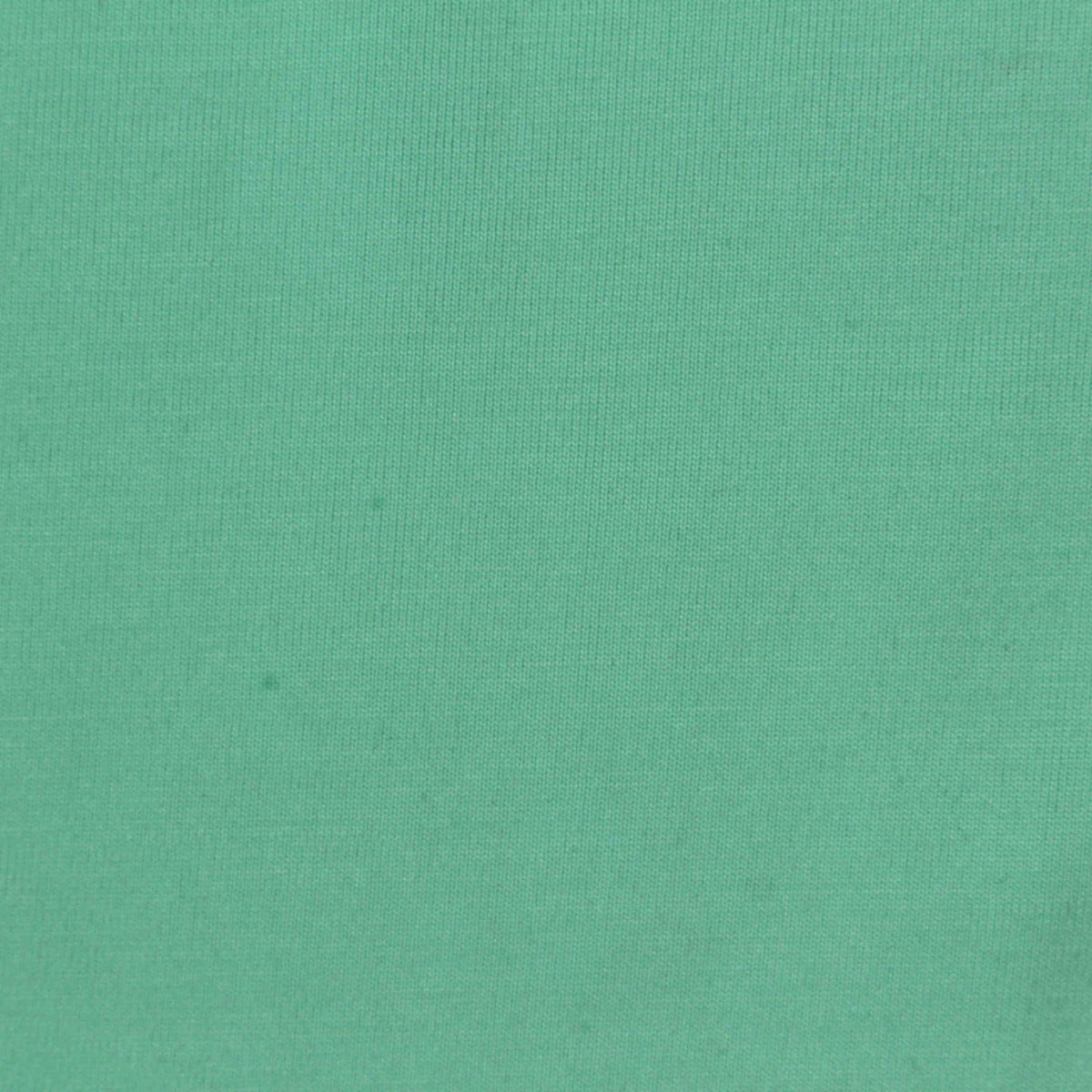 Mint Jersey Knit, Tencel Lyocell