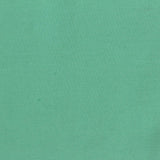 Tencel Lyocell Stretch Jersey Knit Fabric, 200 gsm — Green