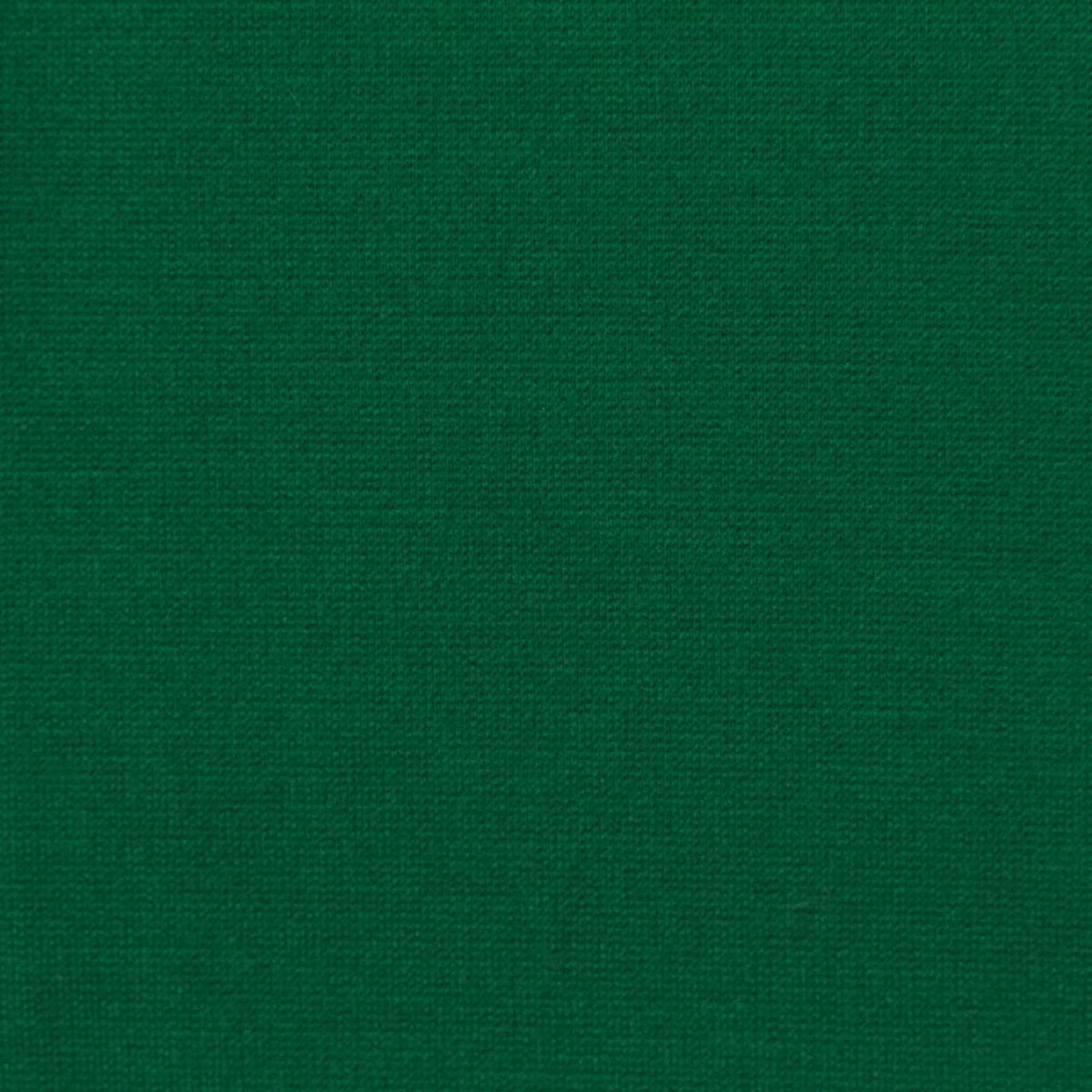 Viscose Nylon Stretch Ponte Knit Fabric, 320 gsm, 160 cm — Green, ref EF-244551