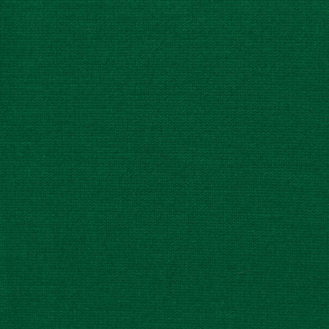 Viscose Nylon Stretch Ponte Knit Fabric, 320 gsm, 160 cm — Green, ref EF-244551