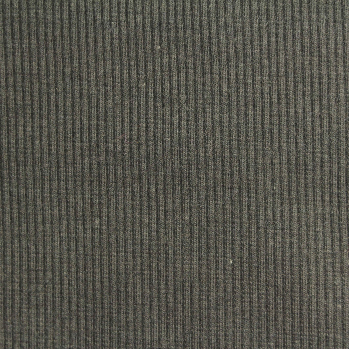 Polyester Cotton Stretch Rib Knit Fabric, 310 gsm, 105 cm — Khaki