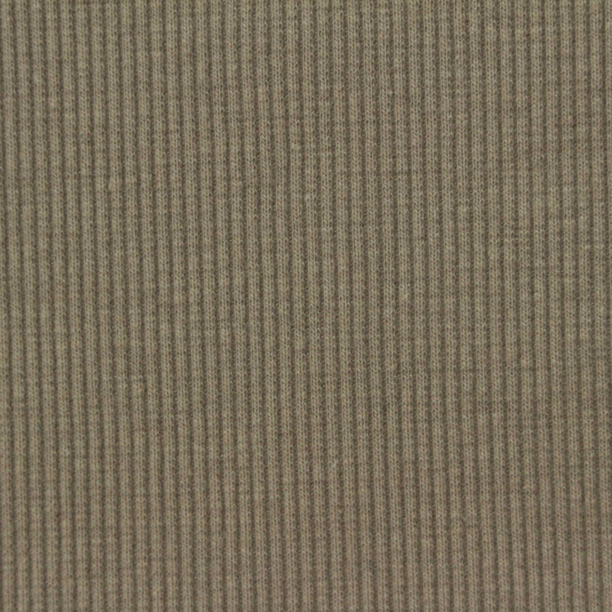 Cotton Polyester Stretch Rib Knit Fabric, 330 gsm, 115 cm — Khaki