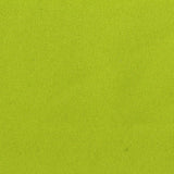 Brushed 100% Polyester French Terry Fabric, 195 gsm, 155 cm — Green