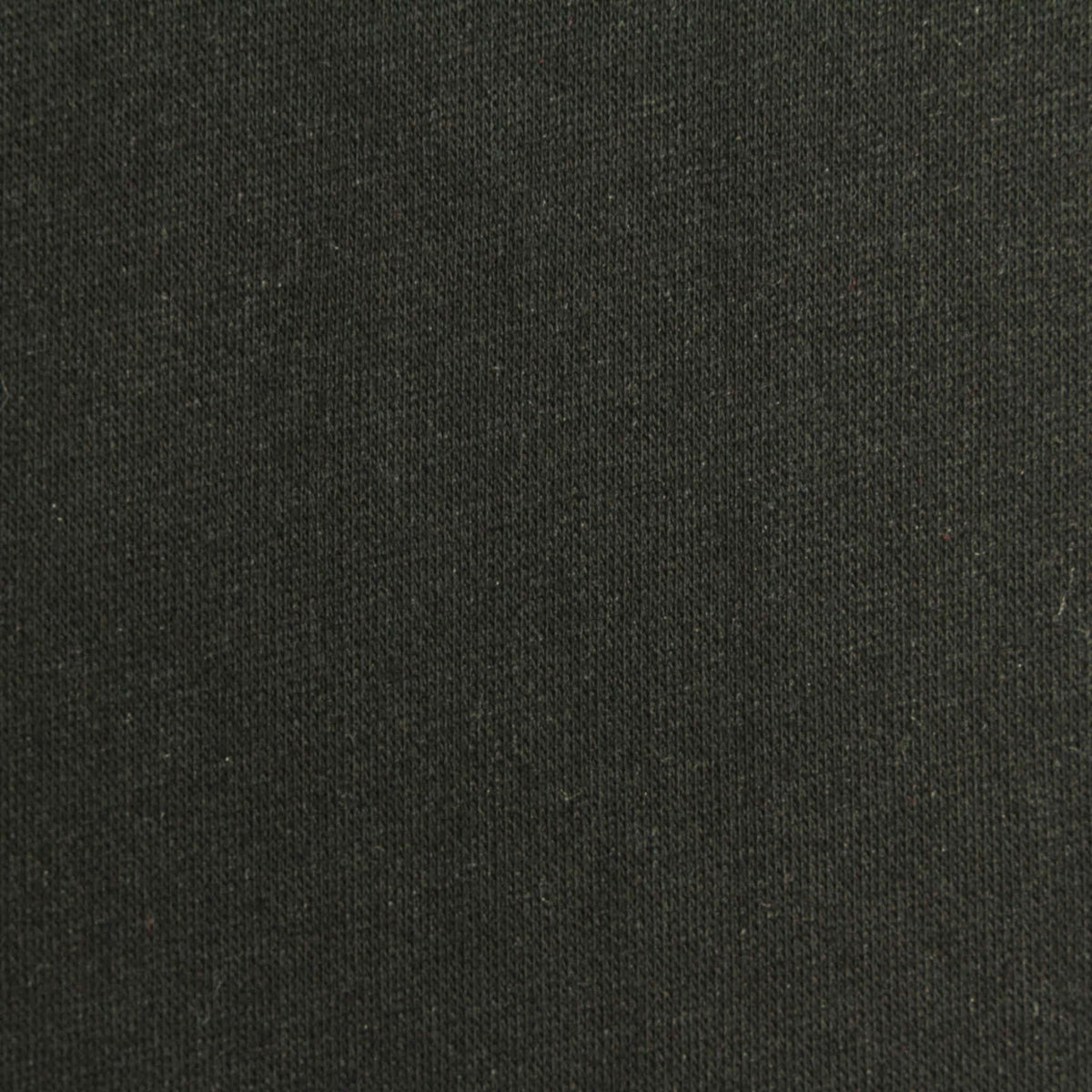 Polyester Stretch French Terry Fabric, 230 gsm, 170 cm — Green