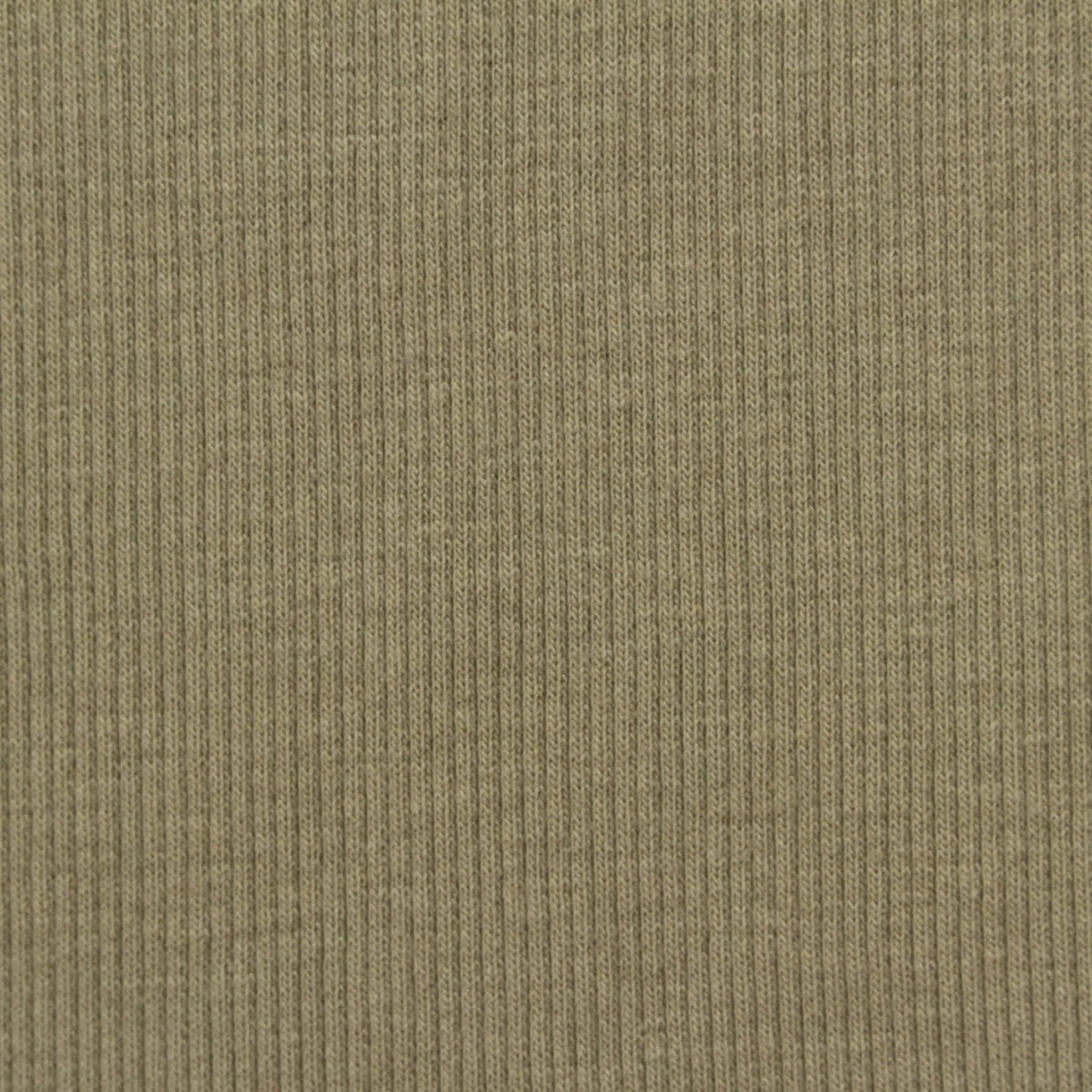 Cotton Polyester Stretch Rib Knit Fabric, 275 gsm, 125 cm — Khaki