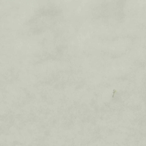 Brushed Polyester Cotton Stretch Knit Fabric, 285 gsm, 180 cm — Grey