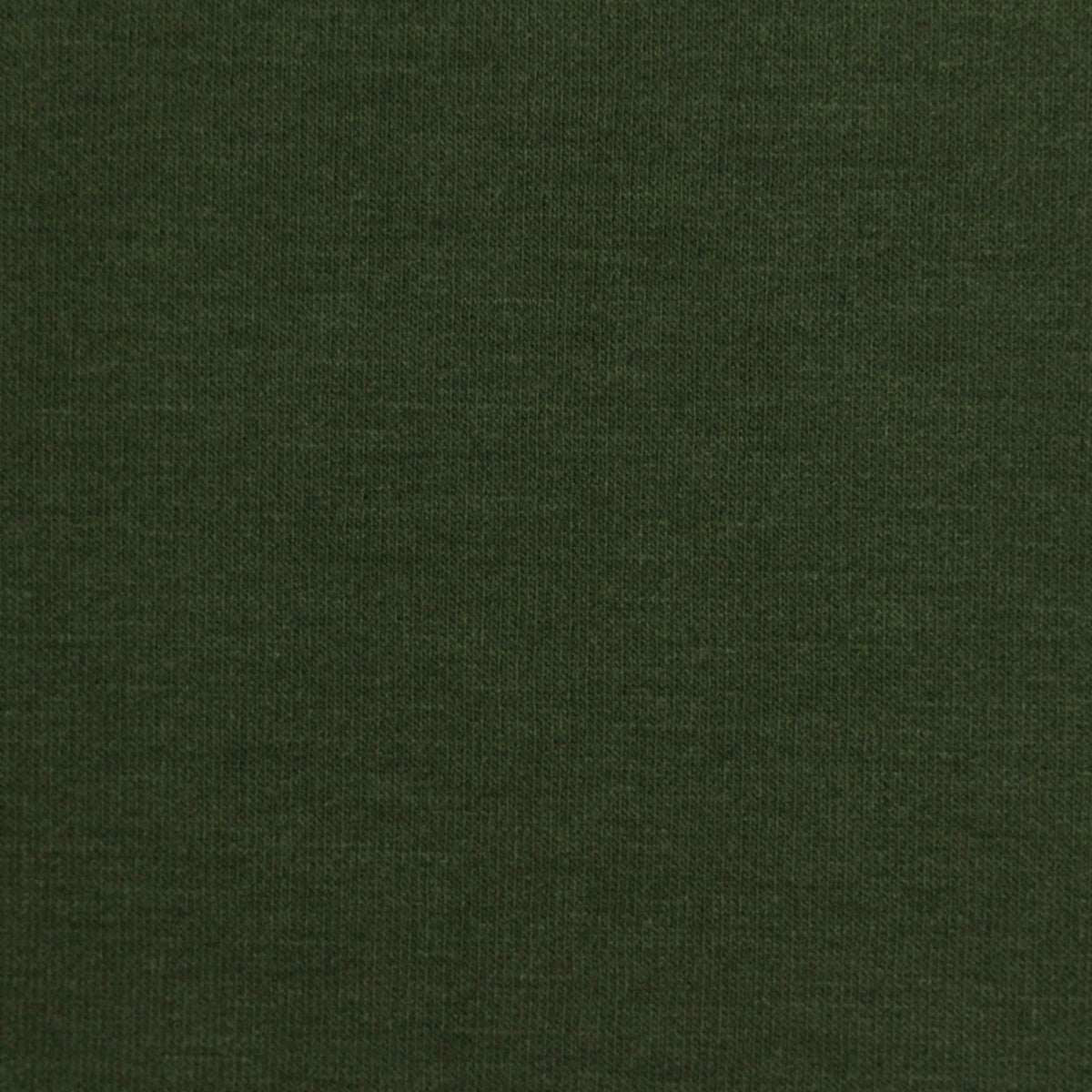 Brushed Polyester Modal Stretch French Terry Fabric, 245 gsm, 157 cm — Green