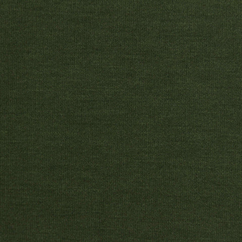Brushed Polyester Modal Stretch French Terry Fabric, 245 gsm, 157 cm — Green