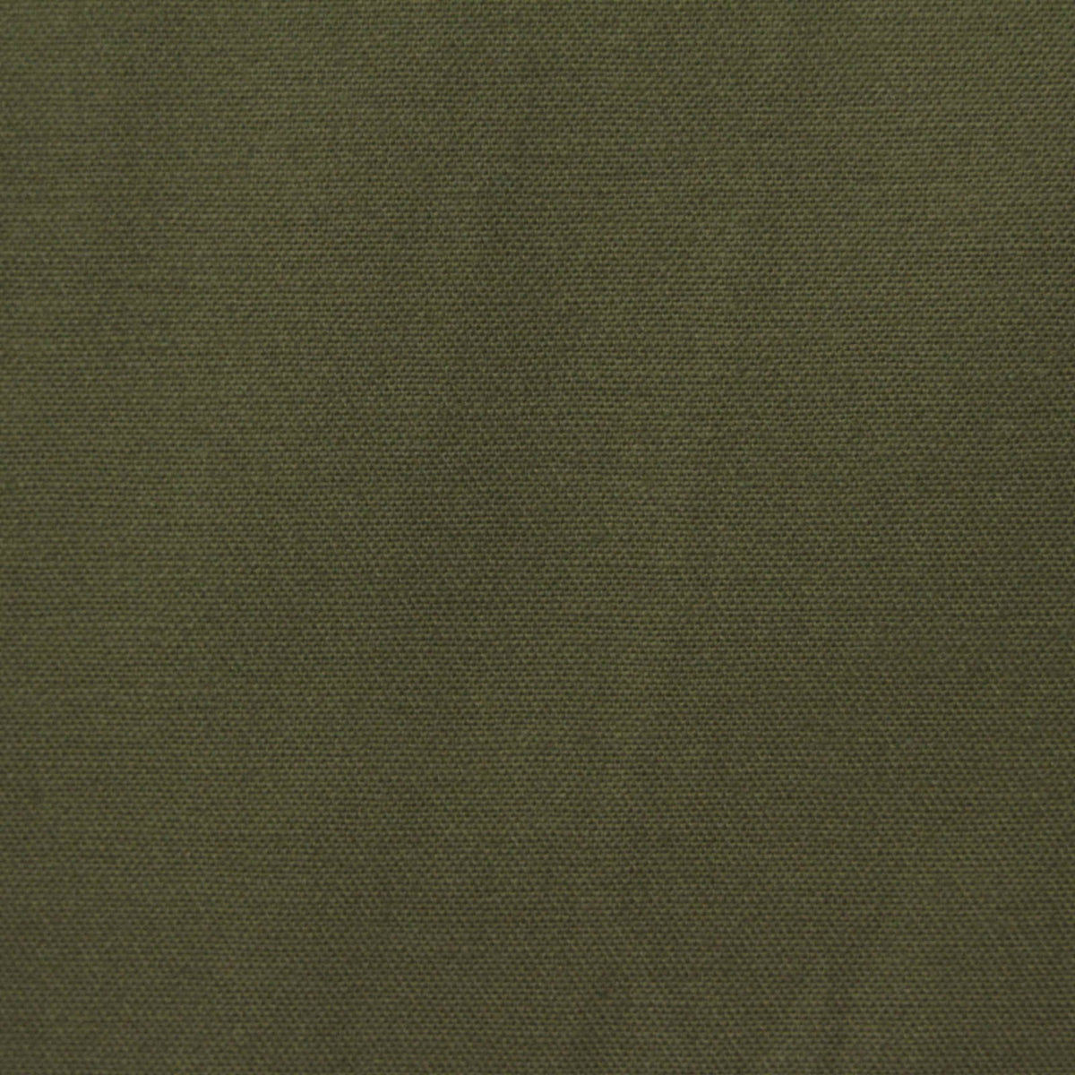 Brushed Cotton Stretch Sateen Fabric, 231 gsm, 148 cm — Green