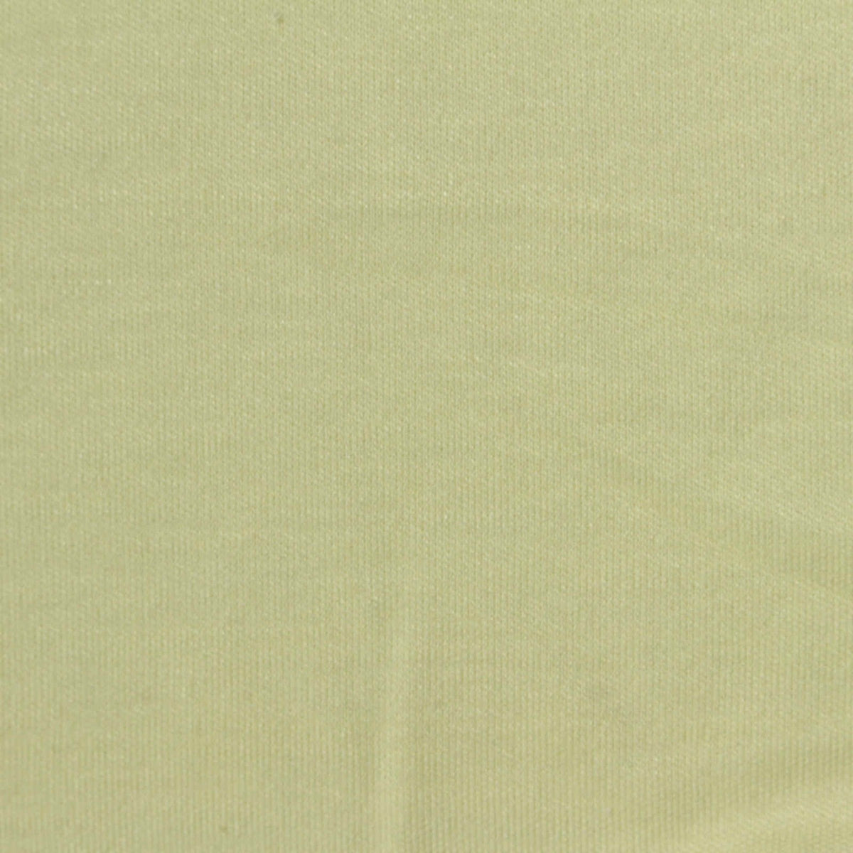 Bamboo Cotton Interlock Knit Fabric, 200 gsm, 170 cm — Green