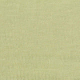 100% Cotton Jersey Knit Fabric, 160 gsm, 160 cm — Green — texture