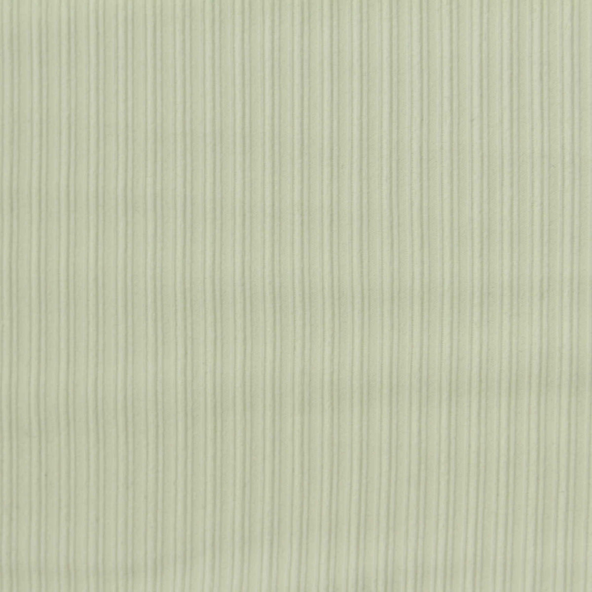 Polyester Stretch Rib Knit Fabric, 200 gsm, 165 cm — Green, ref EF-245248