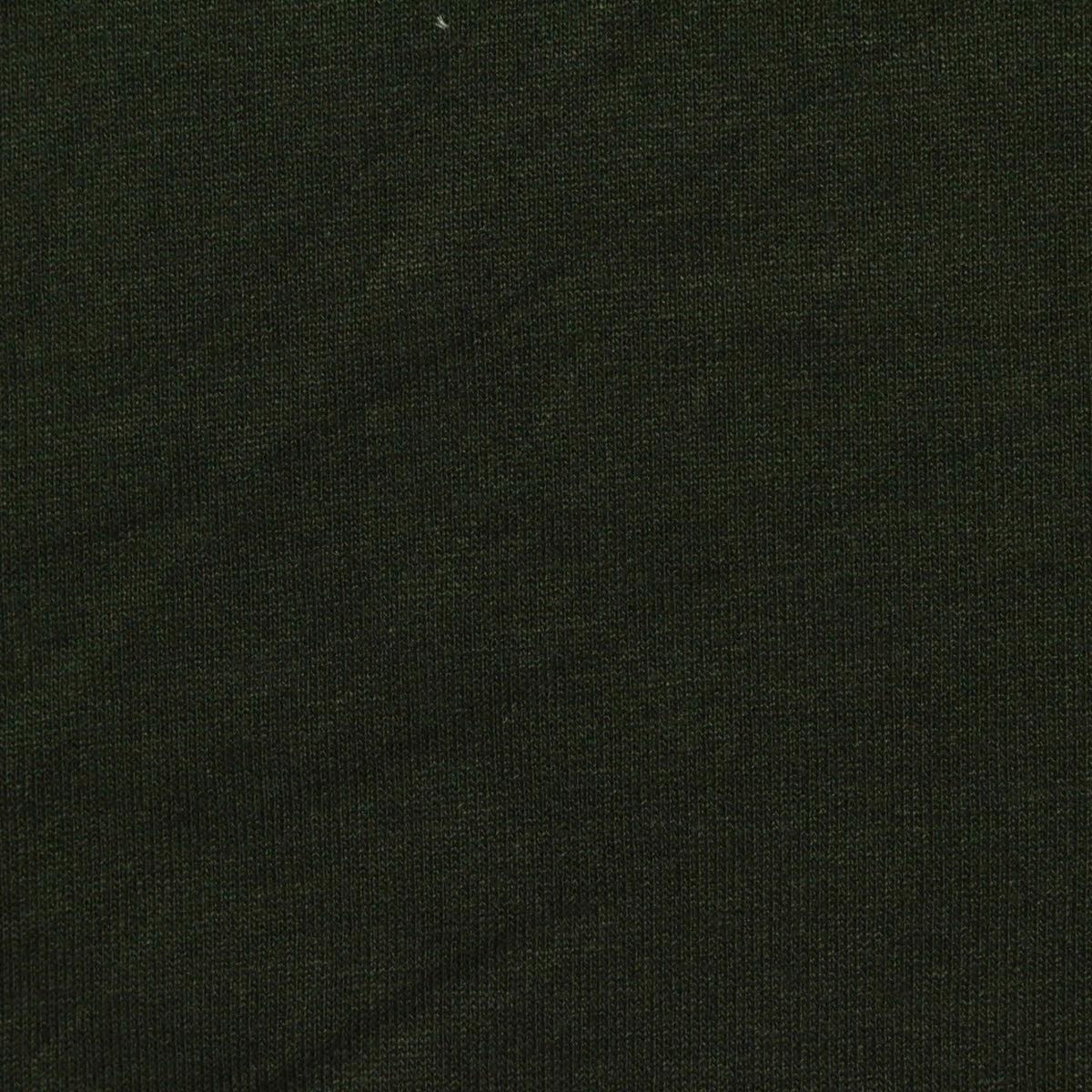 Polyester Viscose Jersey Knit Fabric, 155 gsm, 170 cm — Green
