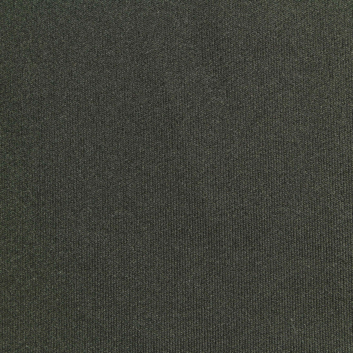 Polyester Stretch Knit Fabric, 250 gsm, 166 cm — Green