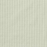 Polyester Stretch Rib Knit Fabric, 217 gsm, 125 cm — Beige
