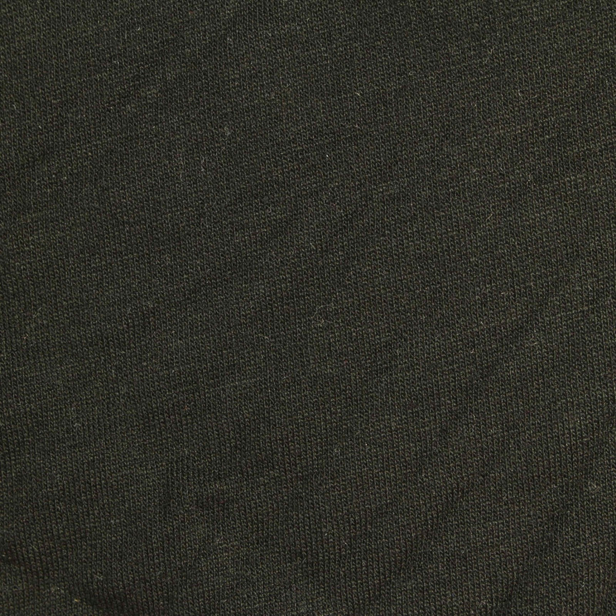 Brushed Viscose Stretch French Terry Fabric, 175 gsm, 160 cm — Green