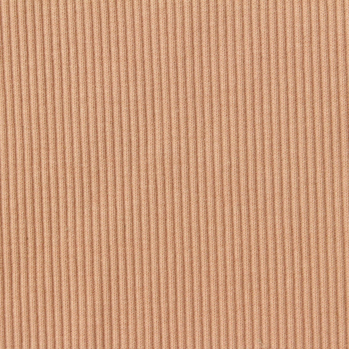 Cotton Polyester Stretch Rib Knit Fabric, 440 gsm, 117 cm — Beige