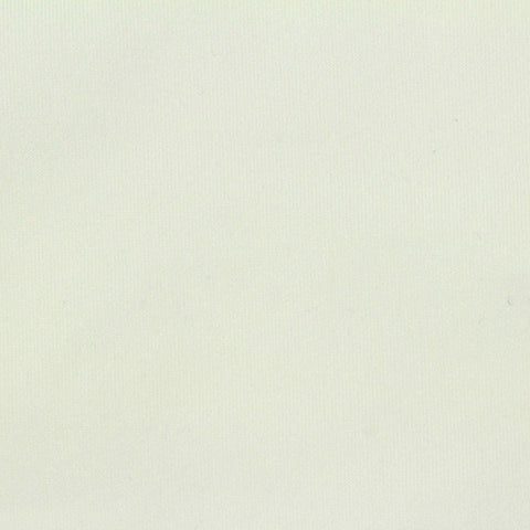 Polyester Modal Stretch Scuba Knit Fabric, 255 gsm, 170 cm — White