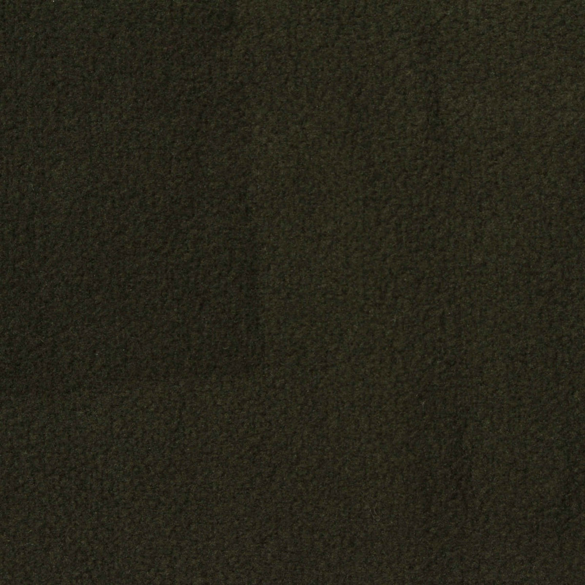 Fleece Fabric, 265 gsm, 160 cm — Green
