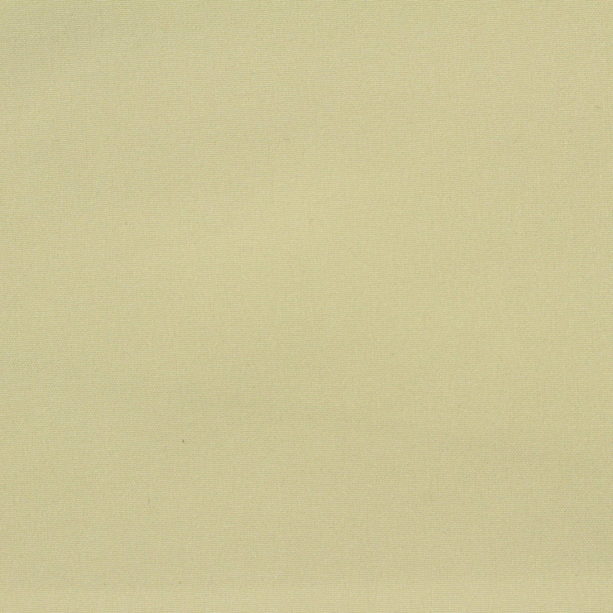 Polyester Stretch Woven Fabric, 168 gsm, 148 cm — Khaki