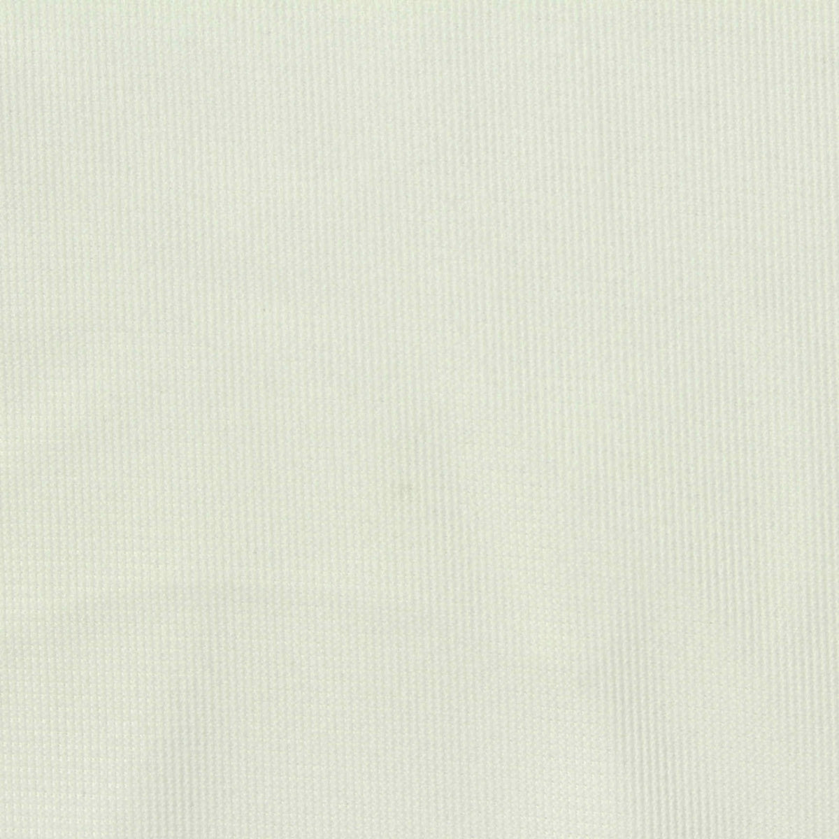 Brushed 100% Polyester Warp Knit Fabric, 190 gsm, 171 cm — Beige