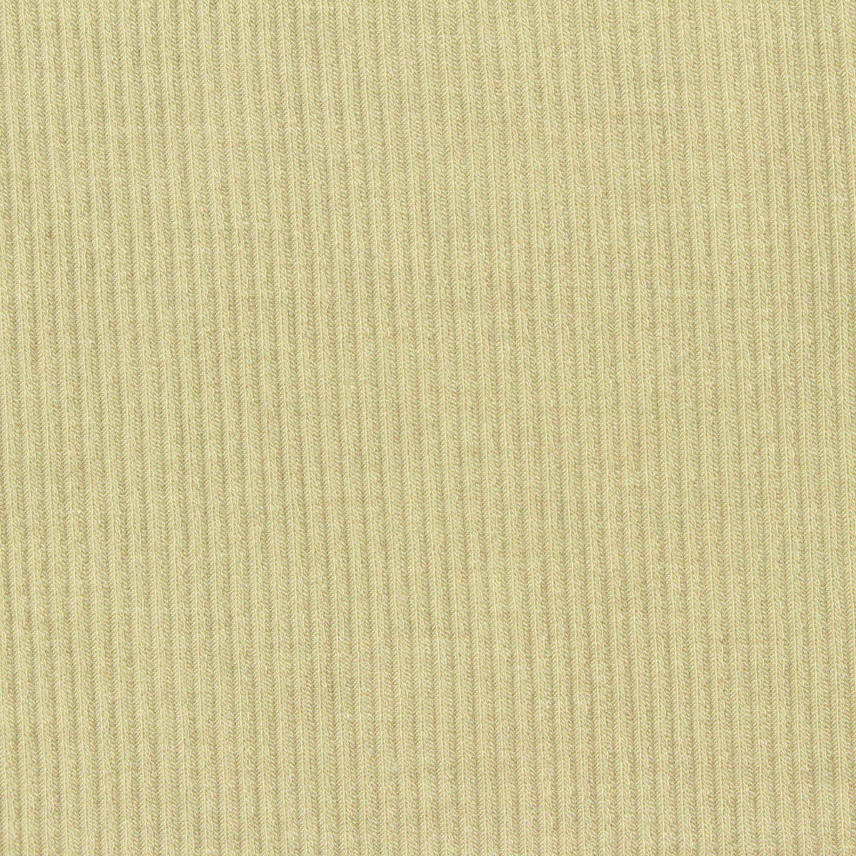 Viscose Acrylic Stretch Rib Knit Fabric, 226 gsm, 165 cm — Khaki