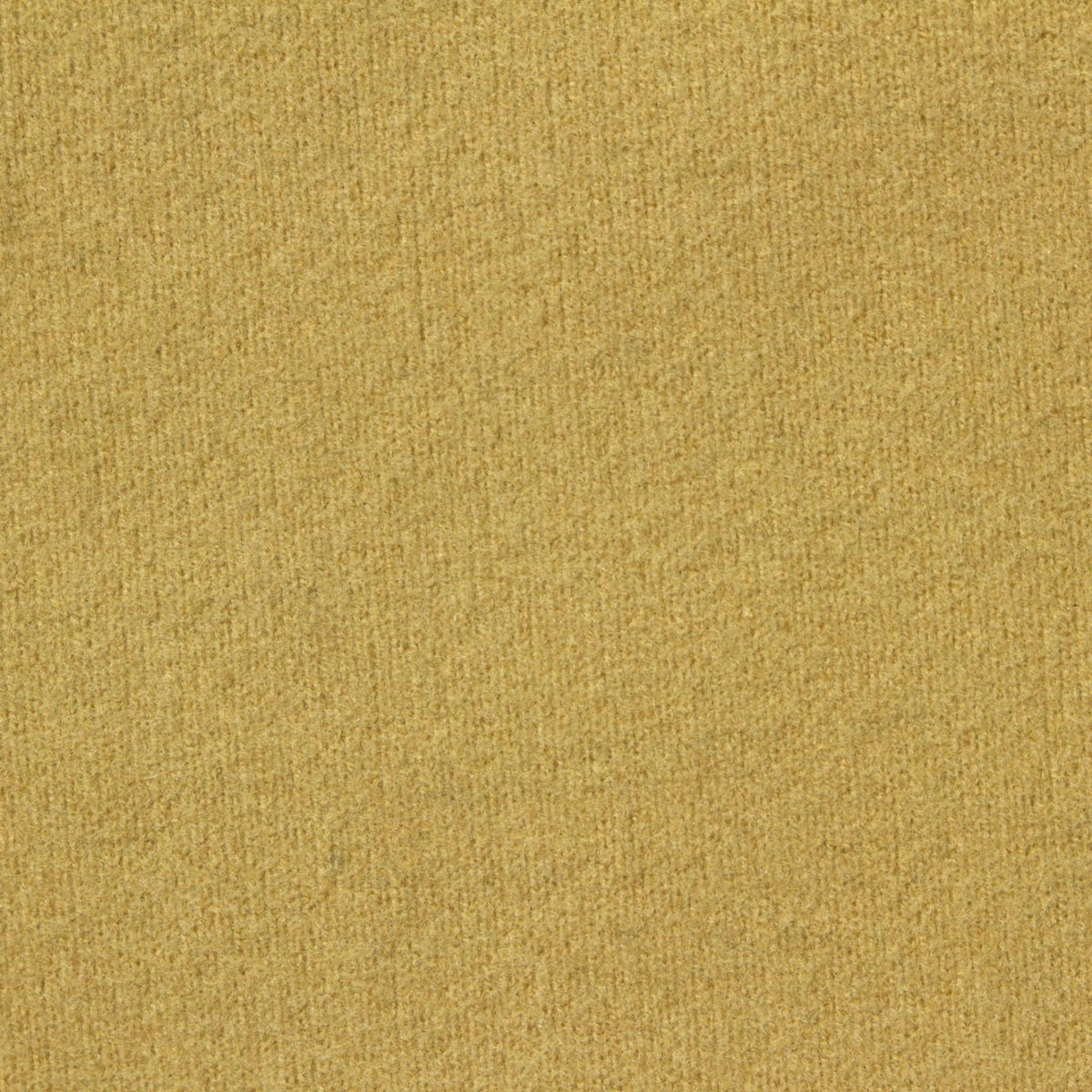 Polyester Stretch Rib Knit Fabric, 432 gsm, 160 cm — Khaki