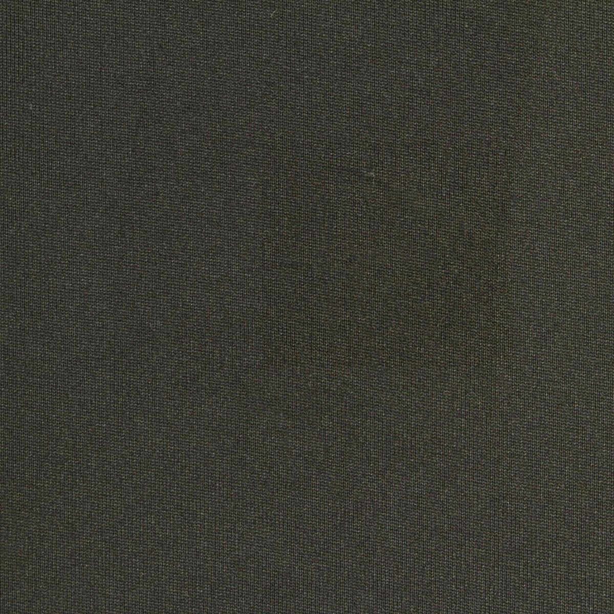 Polyester Stretch Milk Silk Knit Fabric, 110 gsm, 170 cm — Green