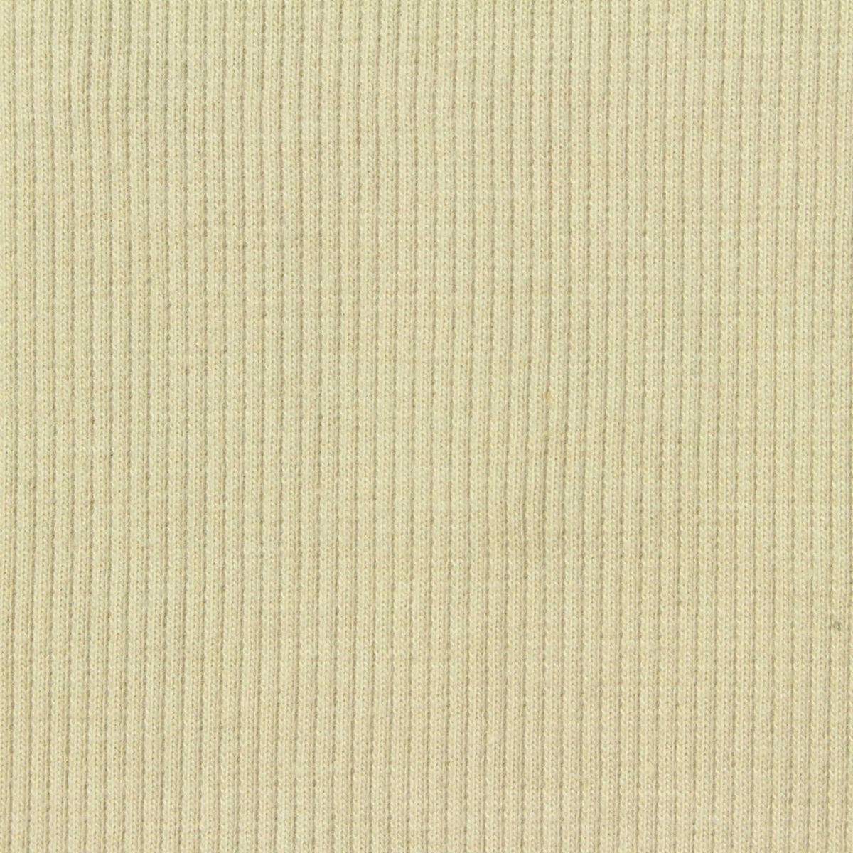 Cotton Polyester Stretch Rib Knit Fabric, 364 gsm, 128 cm — Beige
