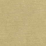 Modal Polyester Jersey Knit Fabric, 174 gsm, 173 cm — Khaki — texture