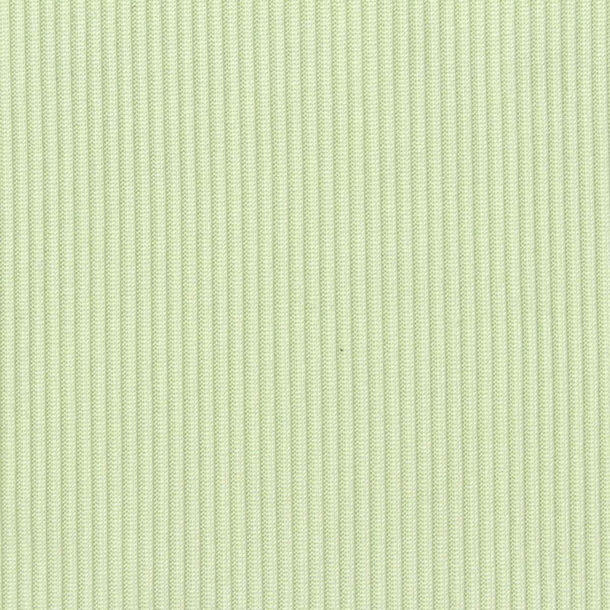 Polyester Stretch Rib Knit Fabric, 188 gsm, 165 cm — Green