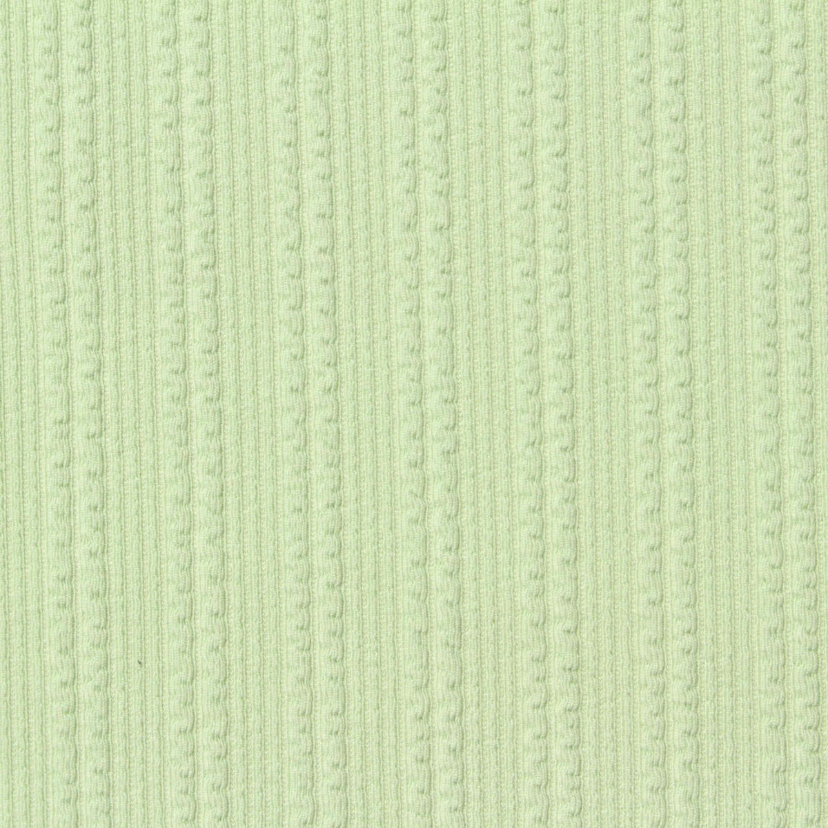 Light Green Tone-on-Tone Rib Knit, Polyester, 298 gsm