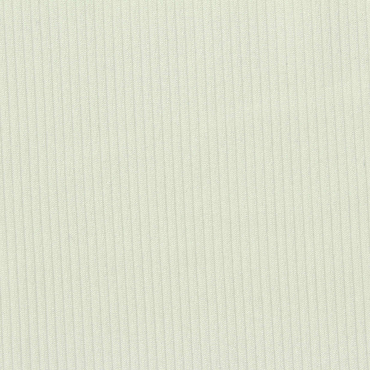 Polyester Stretch Rib Knit Fabric, 215 gsm, 165 cm — White
