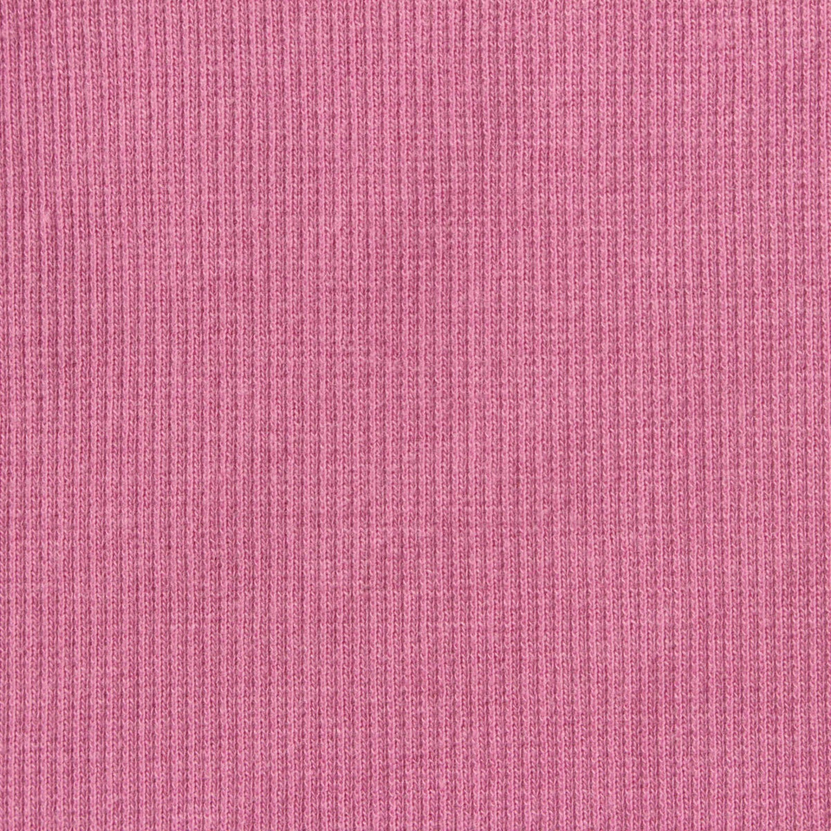 Cotton Polyester Stretch Rib Knit Fabric, 280 gsm, 110 cm — Pink, ref EF-246959