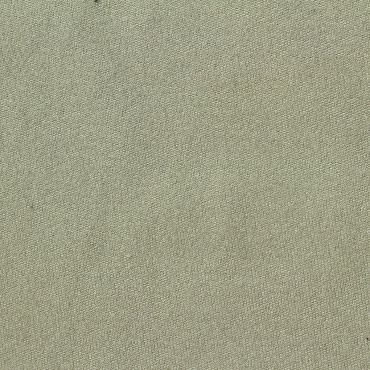 Polyester Stretch Velvet Fabric, 250 gsm, 185 cm — Khaki