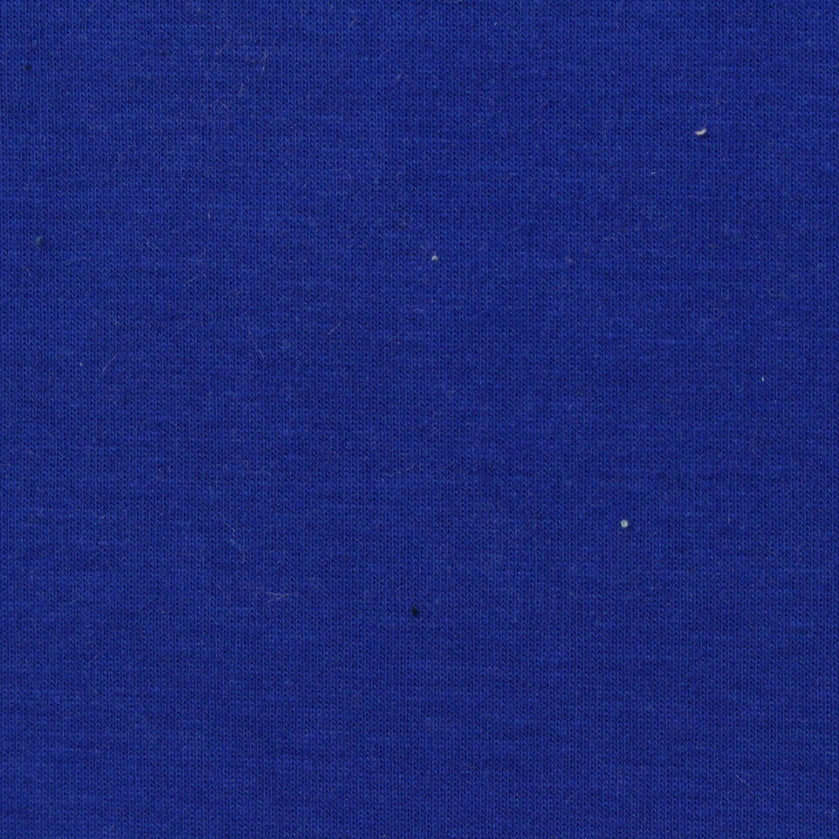 Brushed Cotton Polyester Stretch Scuba Knit Fabric, 360 gsm, 172 cm — Blue