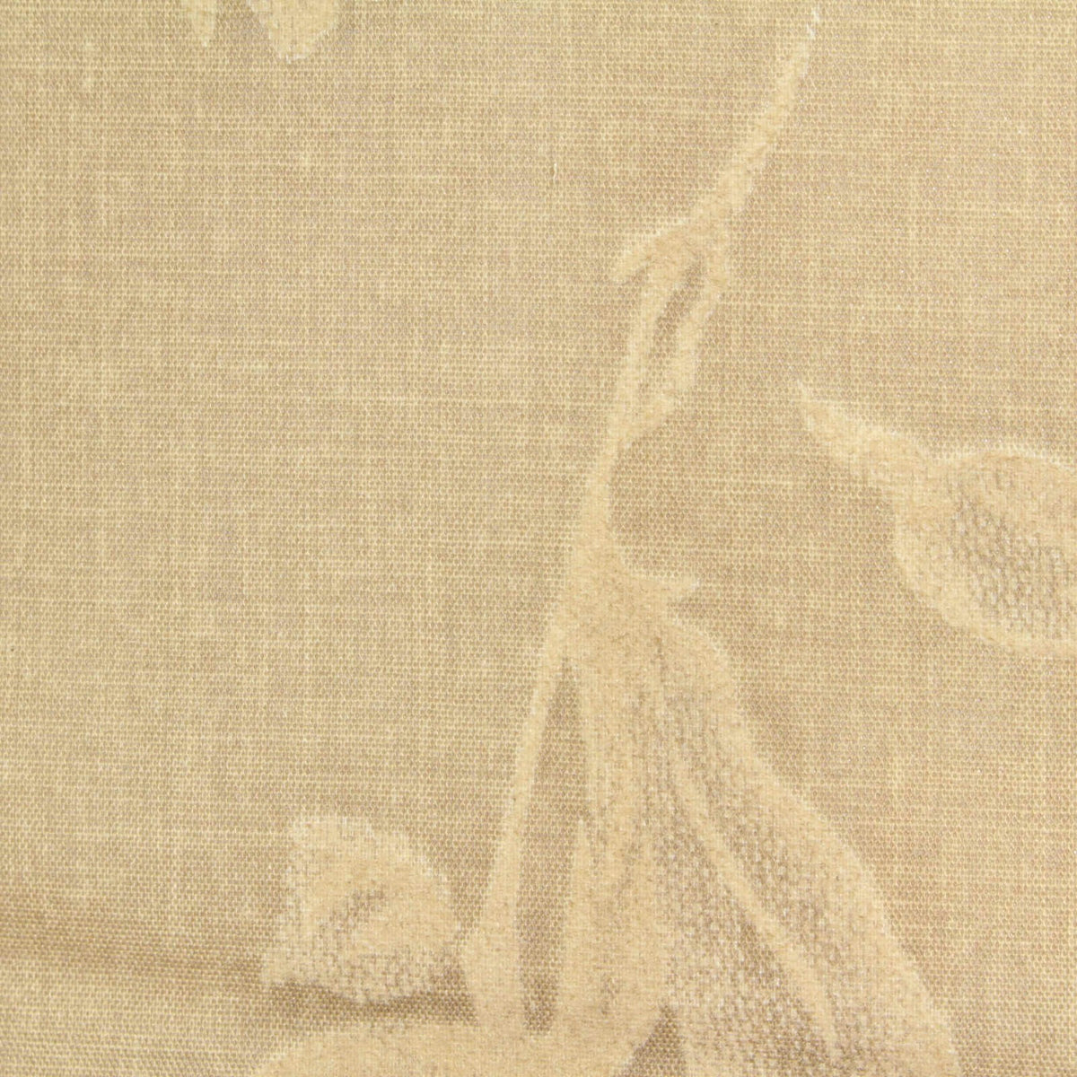 Beige Floral Voile, Polyester