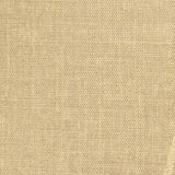 Beige Floral Voile, Polyester — texture