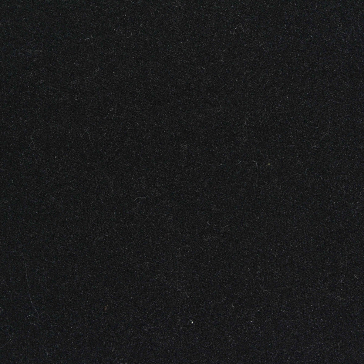 Polyester Stretch Velvet Fabric, 277 gsm, 160 cm — Black