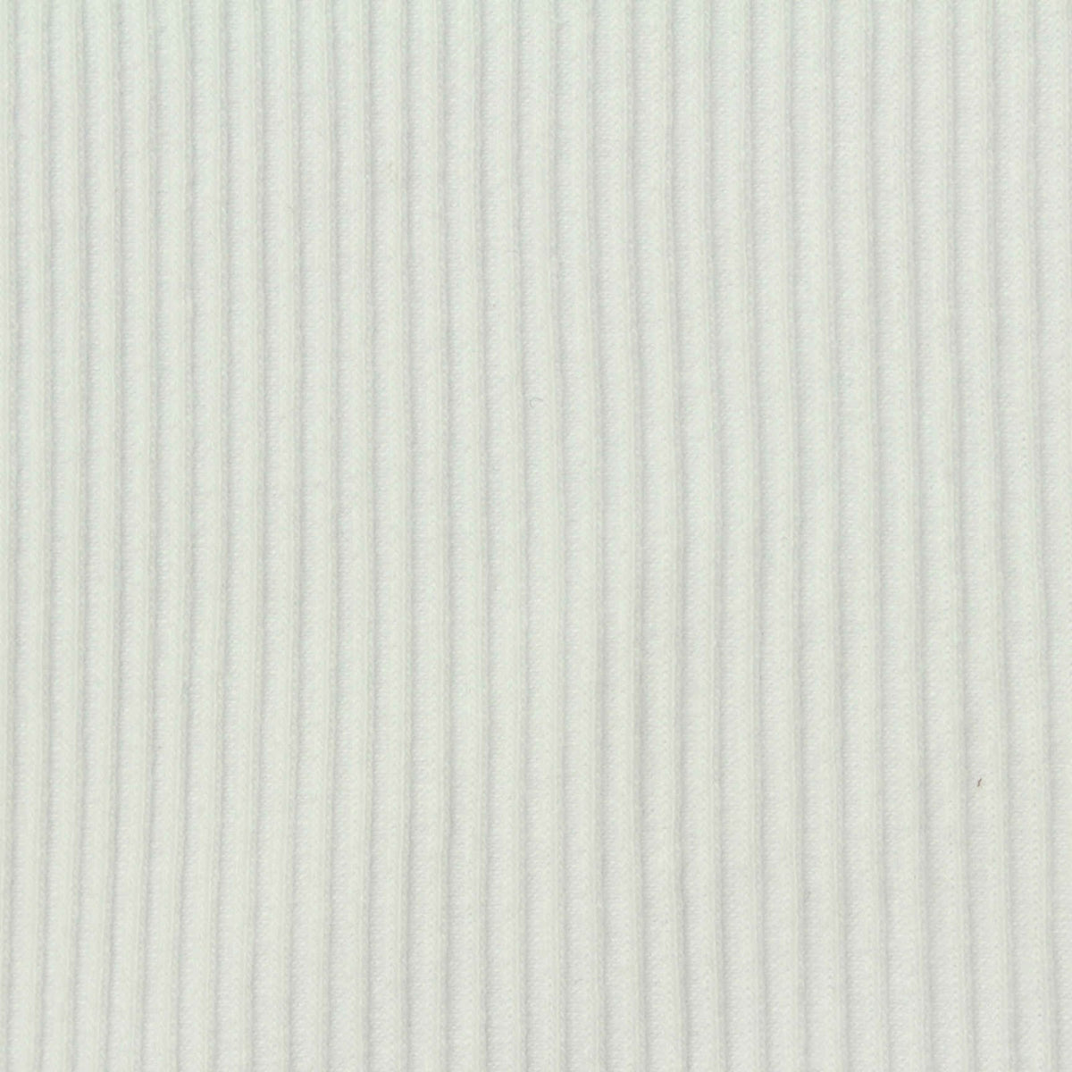 Cotton Polyester Stretch Rib Knit Fabric, 200 gsm, 110 cm — White