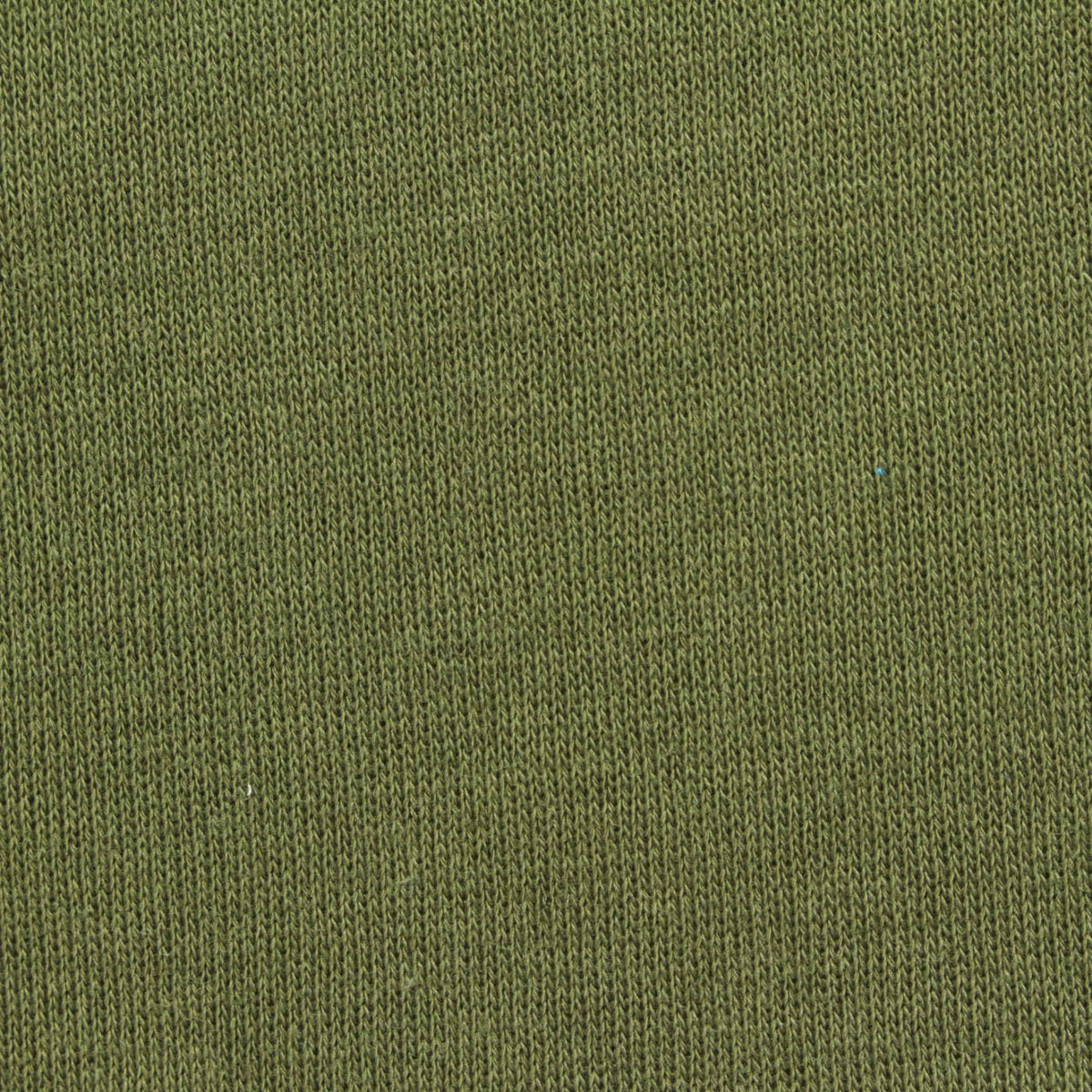 Brushed Polyester Cotton French Terry Fabric, 250 gsm, 185 cm — Green
