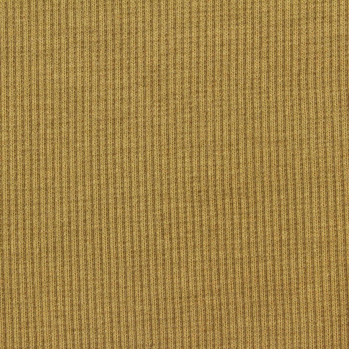 Cotton Stretch Rib Knit Fabric, 360 gsm, 120 cm — Khaki