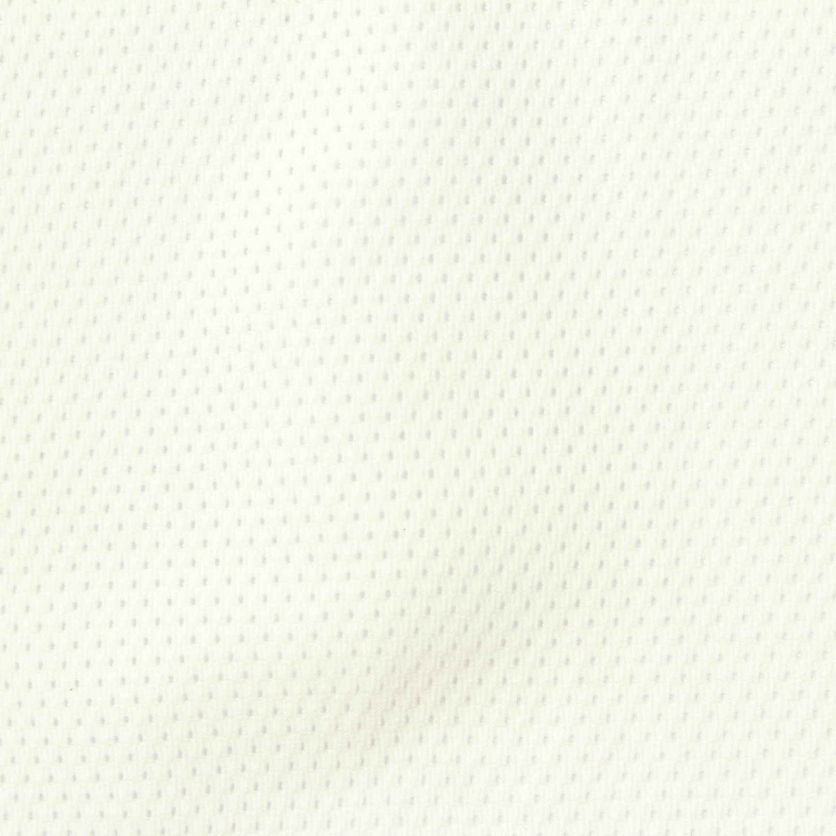 White Mesh, Poly-Spandex